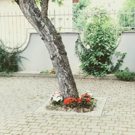 Apartamento Prenocisca Angelin Hram, Tiny