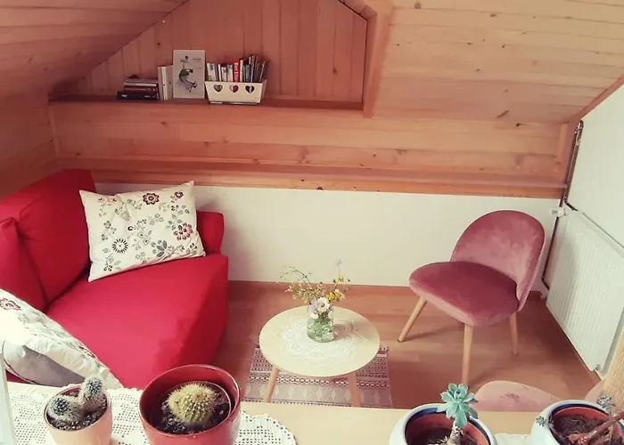 Prenocisca Angelin Hram, Tiny