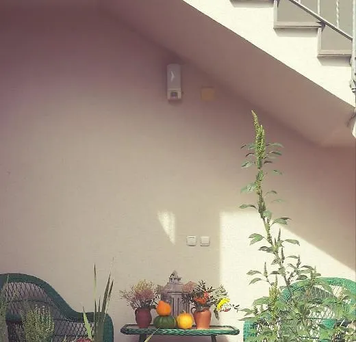 Prenocisca Angelin Hram, Tiny Markovec