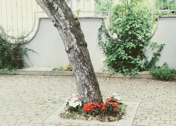 Apartamento Prenocisca Angelin Hram, Tiny