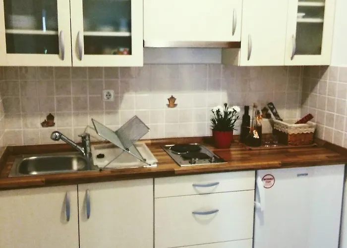 Prenocisca Angelin Hram, Tiny Markovec