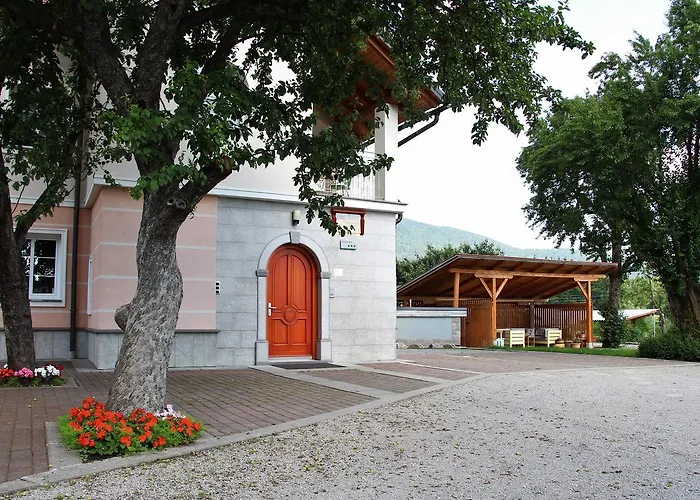 Prenocisca Angelin Hram, Tiny