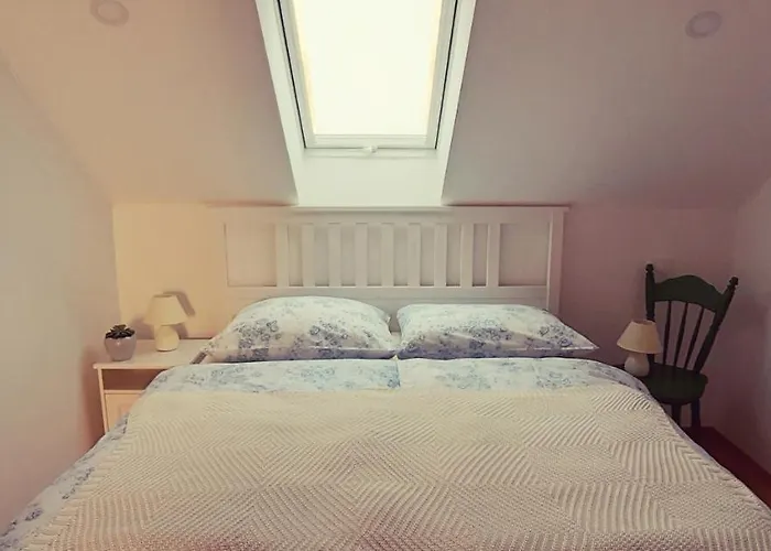 Prenocisca Angelin Hram, Tiny * Markovec