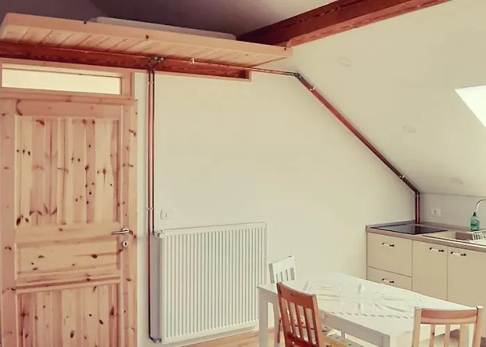 Prenocisca Angelin Hram, Tiny Markovec