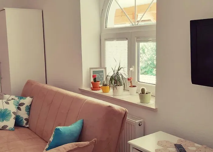 Prenocisca Angelin Hram, Tiny * Markovec